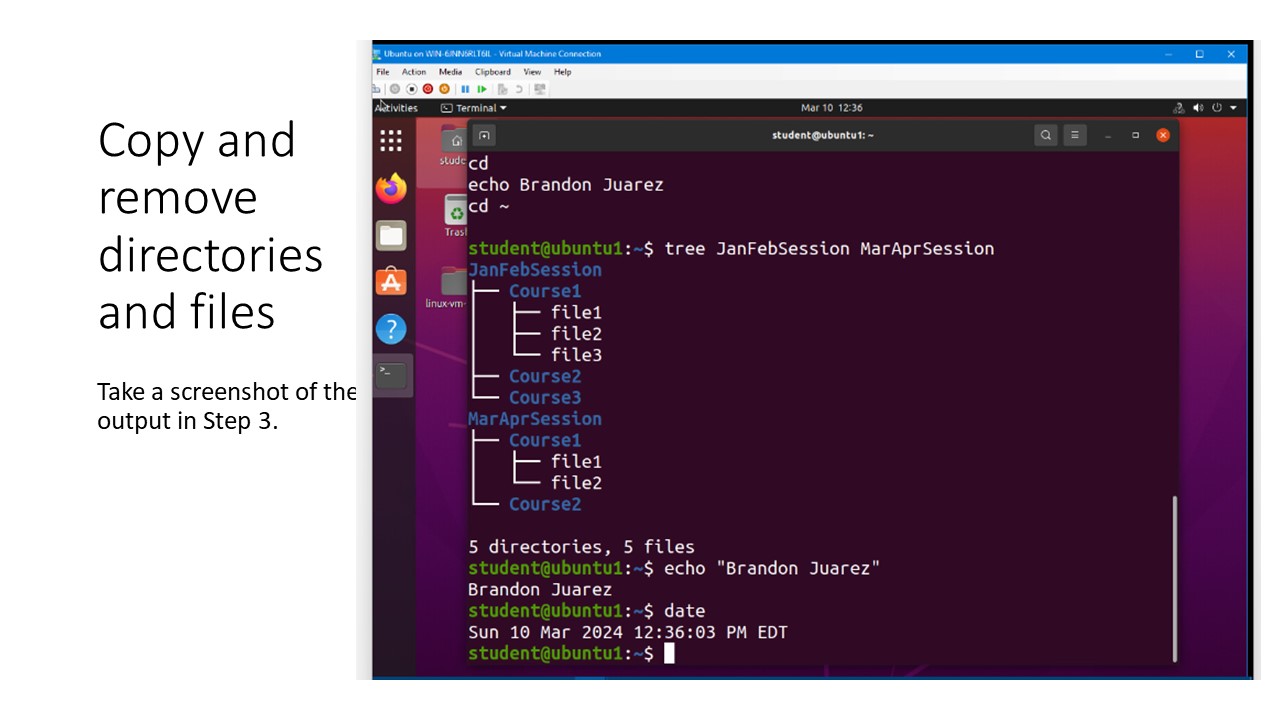Slide 6